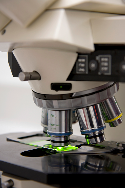 Health Care Services